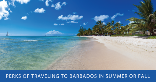 Best time to travel to Barbados