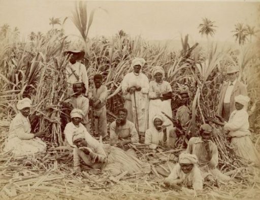 History of Crop Over Barbados