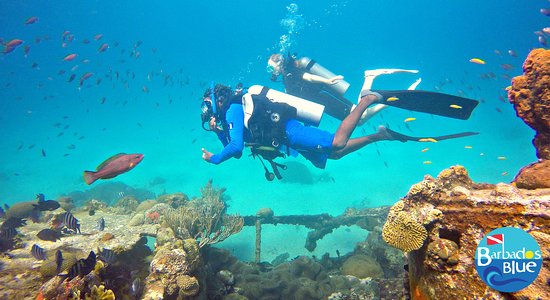 Scuba Diving Barbados